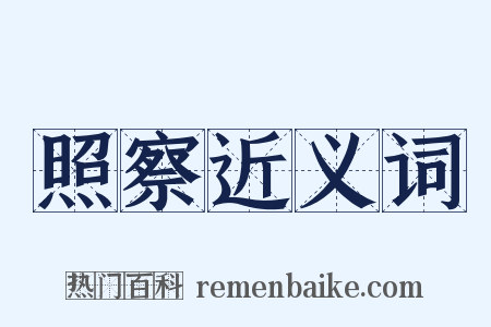 照察近义词是什么意思的图片